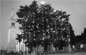168 Foto albero Natale copia.png